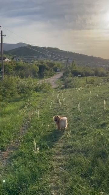 Идём на дачу 🥰