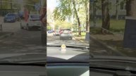 VID-20250509-WA0180.mp4