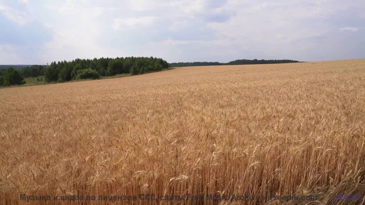 Видео, которое лечит депрессию - научный факт! - Americana -- HoliznaCC0 -- Rock Montage