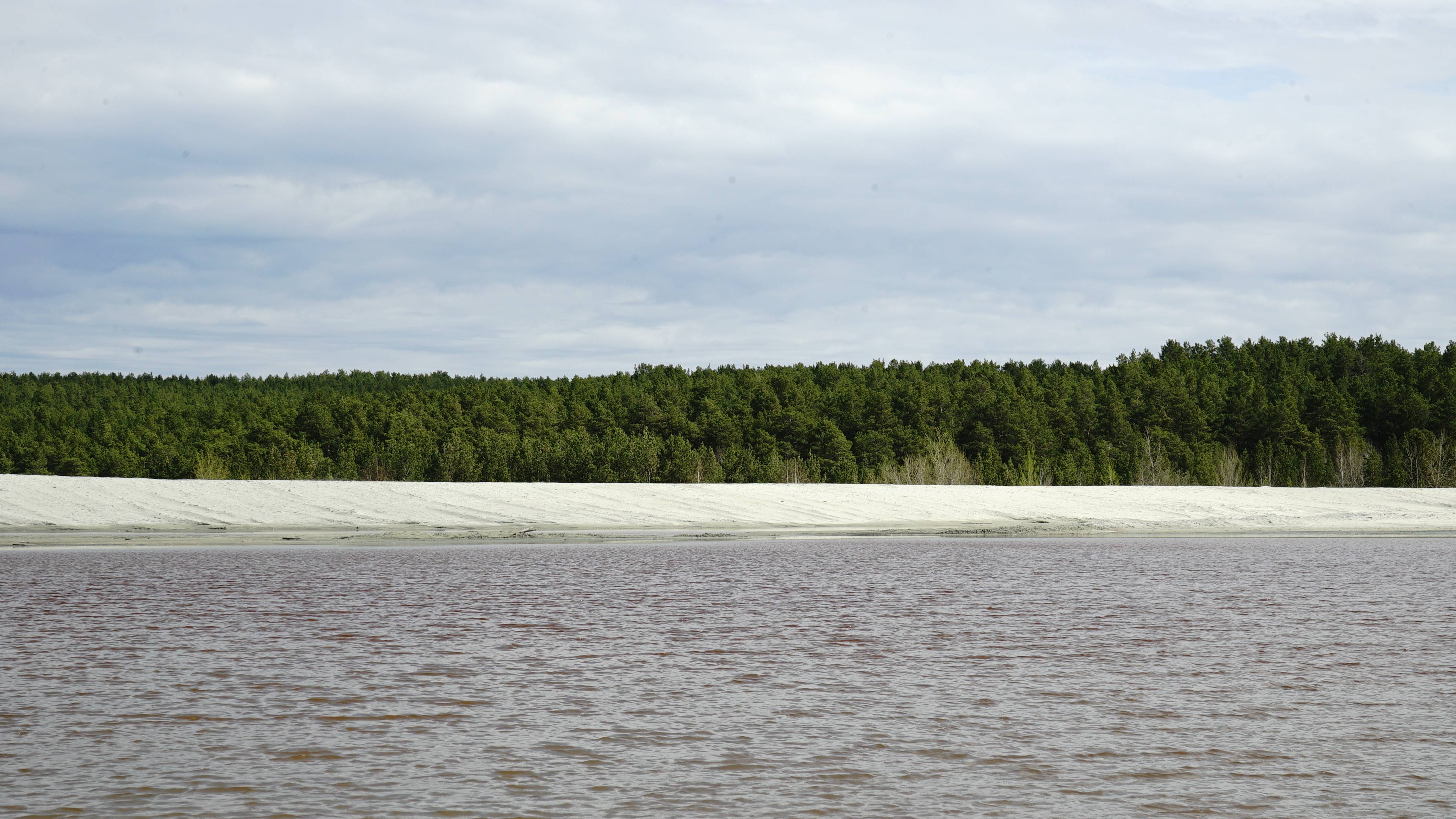 Пустыня и чайки в Берёзовском (Свердловская область)