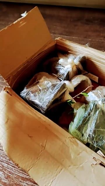 Упаковка гортензий для отправки Почтой из моего питом