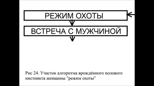 Новосёлов "Женщина. Учебник для мужчин". Глава 3 ПРОБНИК озвучки