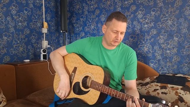 День победы (кавер под гитару)