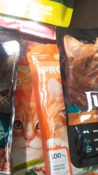 Чем кормить кота Васю.