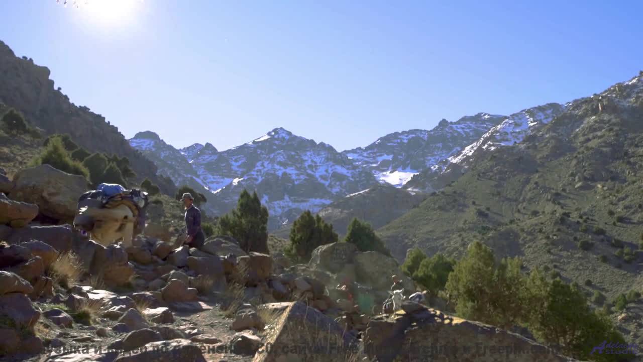Кадры, которые заставят вас усомниться в своих глазах! - El Camino del Alce -- Silva de Alegria -- P