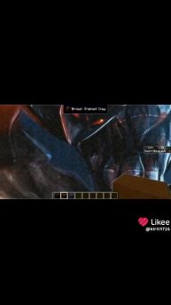 1000000737.mp4