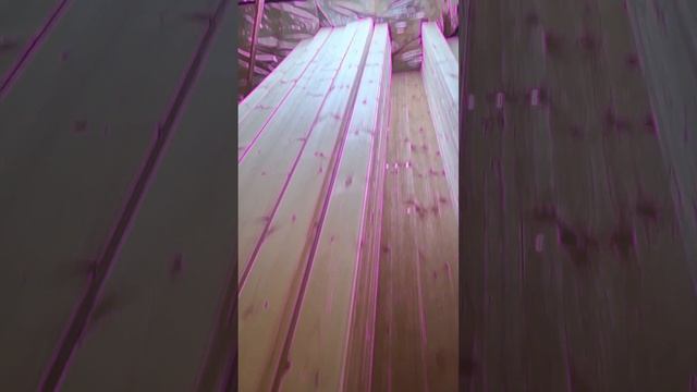 1000023362.mp4 (Собака смотрит на поступившую имитацию бруса)