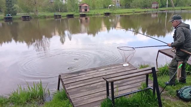 Светлые Горы. Карп 6.17.05.2024