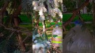 Моё любимое хобби - кормить белок🐿️