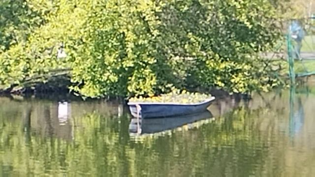 Екатерингофский парк.