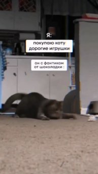 у вас так же 😅