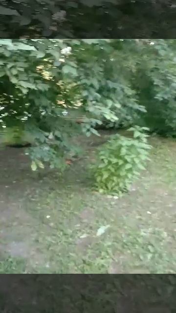 1000005359.mp4