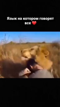 Понятно без слов