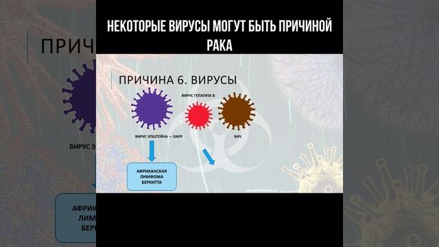 Некоторые вирусы могут быть причиной рака #вирусы #рак