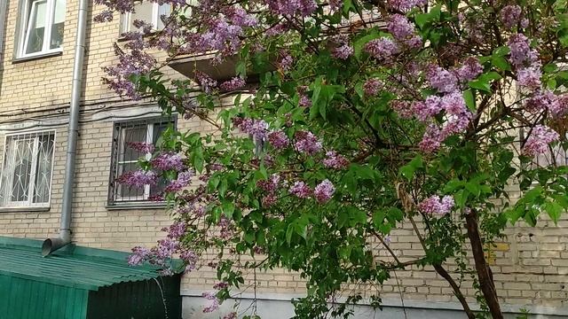 С праздником