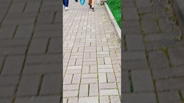 1000026936.mp4