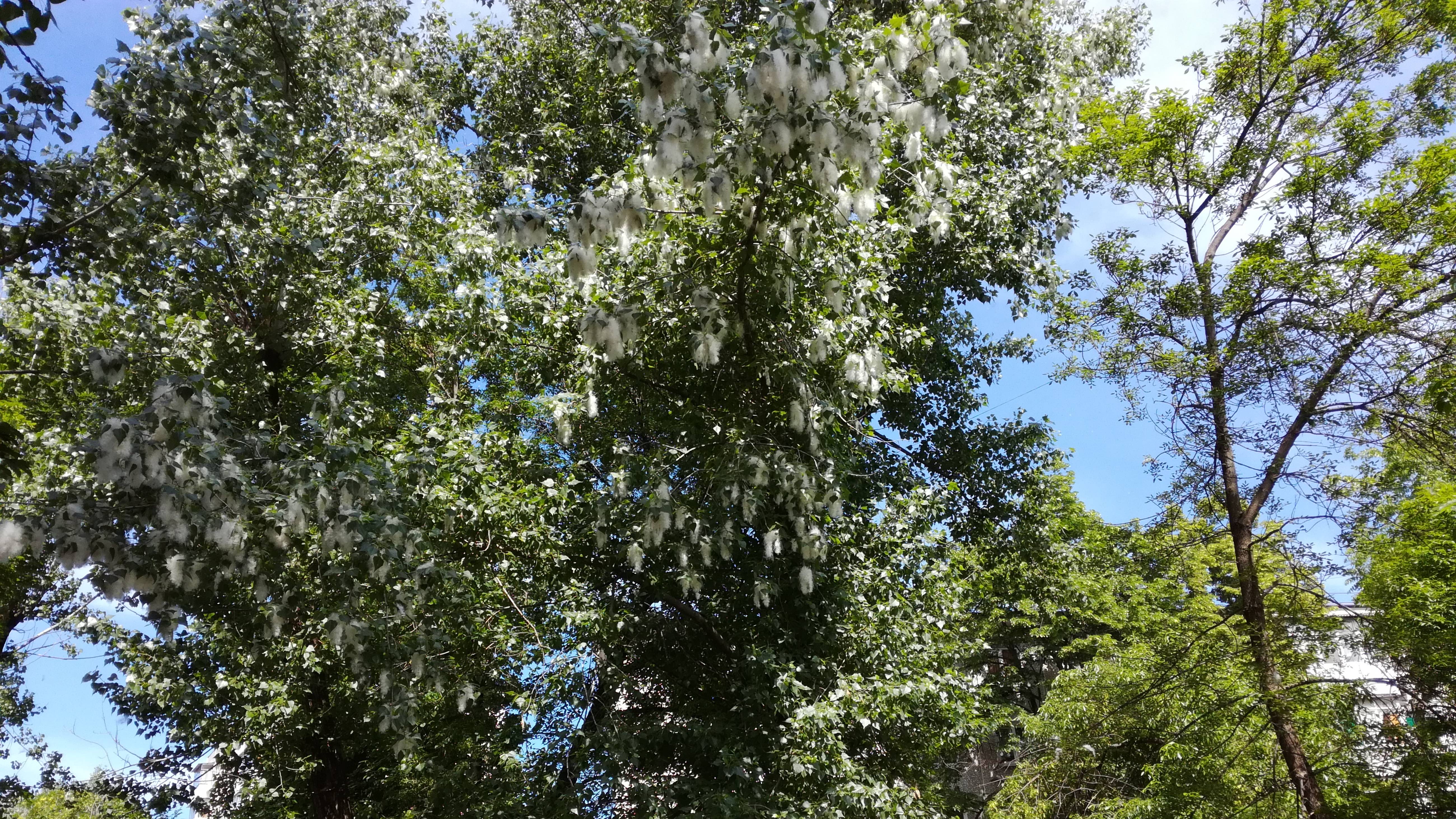 Прекрасное рядом