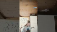 что ты есть мой номер телефона