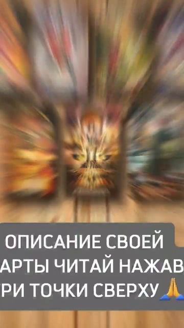 Ты задумывался о том, какая сфера деятельности тебе по
