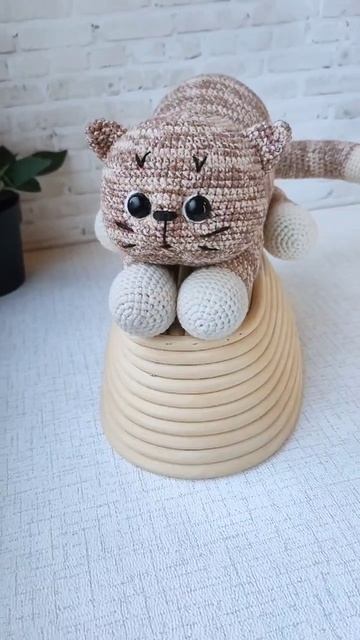 Котик