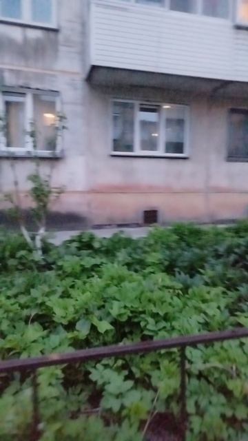 бег