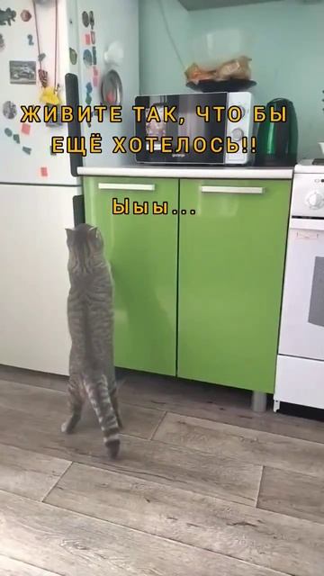 Видишь суслика? -Нет - И я нет, а он есть..!