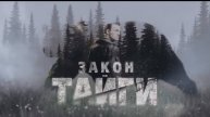Закон Тайги Бесплатно В Хорошем