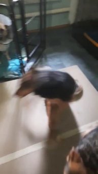 Алиса нуждается в помощи