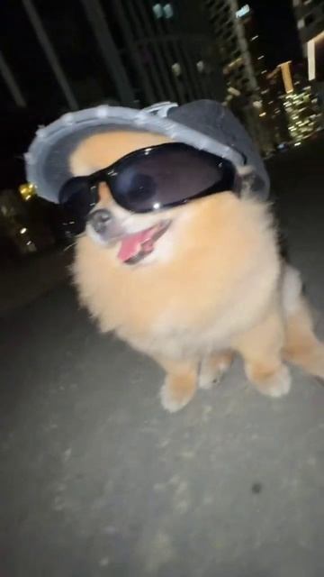 scene_output.mp4