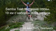 Samba Trail 2025. Меловые сосны. 19 км с набором 900 метров. Забег на который хочется возвращаться