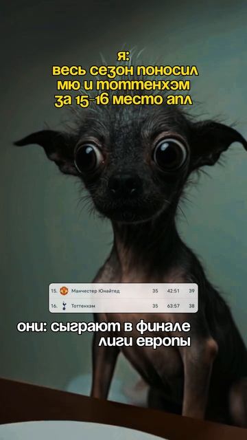 Монстры в финале ЛЕ 😅