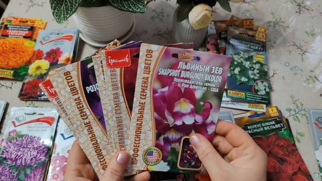 Что сажать в огороде в этом сезоне часть (7)