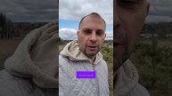 скол ко стоит дорога до участка?