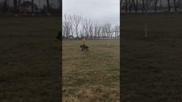 Раш Макс защита дек21