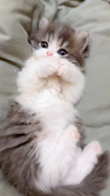 😍