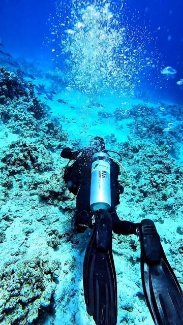 SharmWave diving center - дайвинг клуб в Шарм эль Шейхе