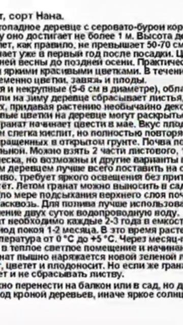 Сорта граната.            4 августа 2024 г.