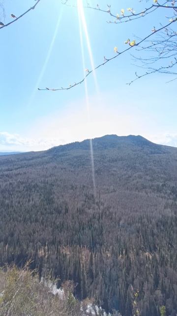 Гульшат