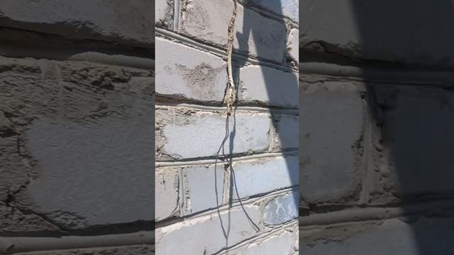 1000156959.mp4