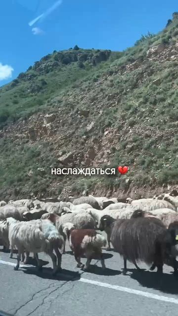 Путешествуйте!