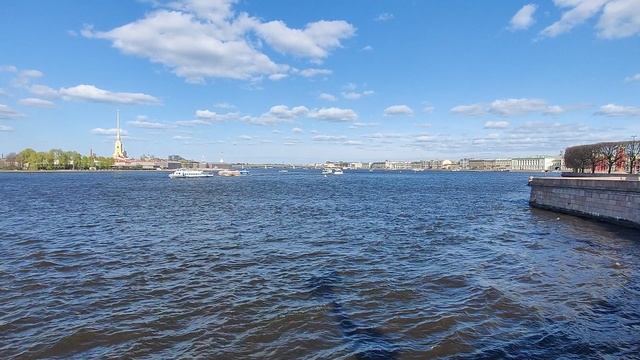 Биржевой мост, демонстрация 9 мая 2025г