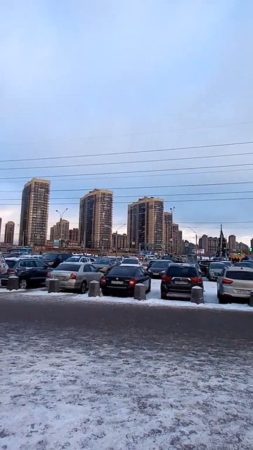 Есть тут те, кто живёт на Парнасе? #парнас #питервкарма?