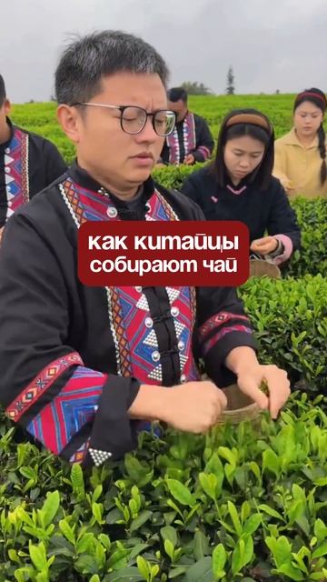 Больше пассивного китайского у меня в блоге 🫶