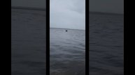 Покатушки г.Казань.mp4