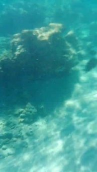 #Египет#отдых#шармэльшейх Пляж Наама бей. НЫРЯЕМ ПОД ?