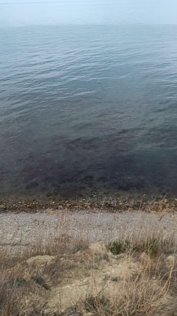 чёрное море анапа