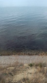 чёрное море анапа