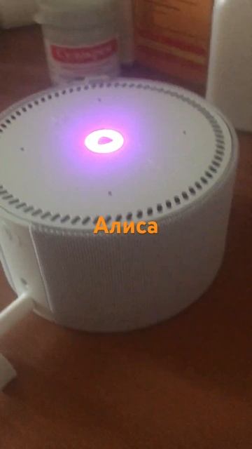 Наконец-то у меня есть Алиса
