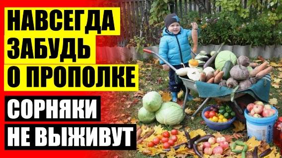 ЧЕМ ПРОТРАВИТЬ СОРНЯКИ НА ГАЗОНЕ 🔥 КАК ПОБЕДИТЬ СОРНЯКИ НА ОГОРОДЕ