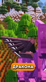 Мод 🐉DRAGON MOUNTS🐉 на майнкрафт #майнкрафт #моды